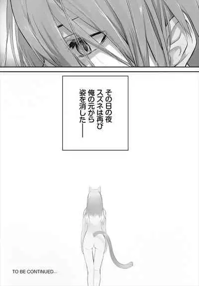 Dascomi Vol.17