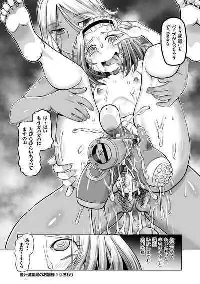 Ginjoku Quest. Otome Zenryoku Koubi Senki