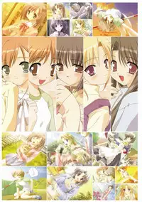 Canvas Visual Fan Book