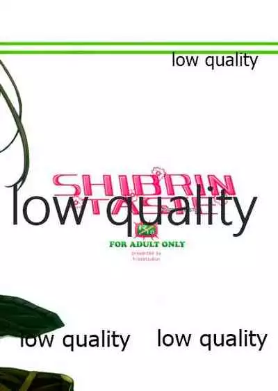SHIBRIN TASTE
