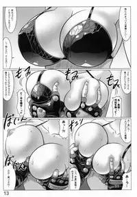 (C81) [Leymei] Midnight Terrorist (Muv-Luv)