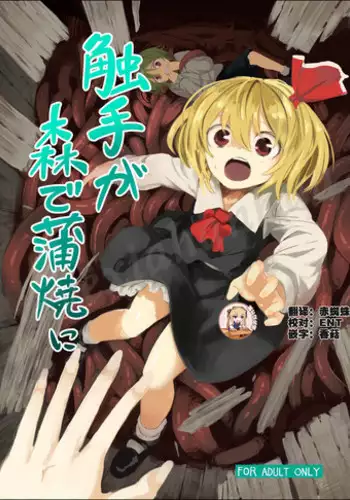 (C91) [Satei (s73d)] Kokoro Kusuri (Touhou Project) [Chinese] [Kanade汉化组]