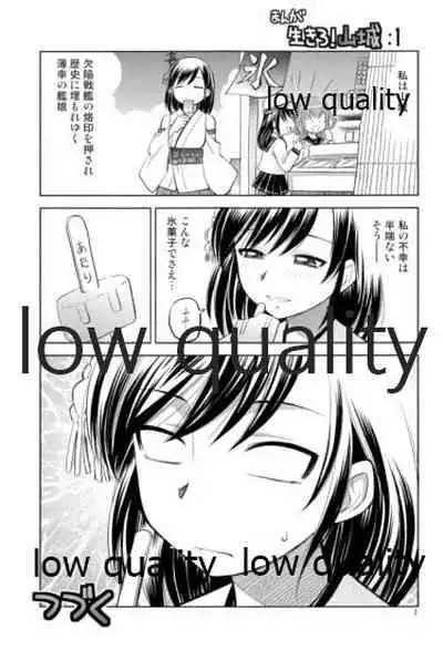 霧島観察日誌