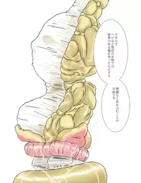 [Kasetsu Shirokuma Kakko Yoi (Yoikuma)] P045-02 Vanis Report