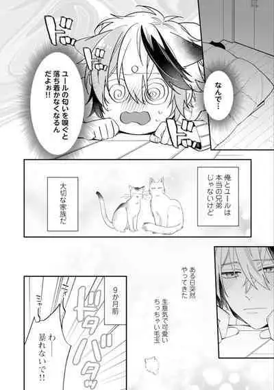 High Spec Danshi ni Natsukareteimasu