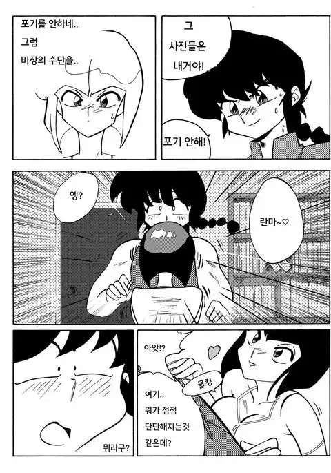 らんまの試み