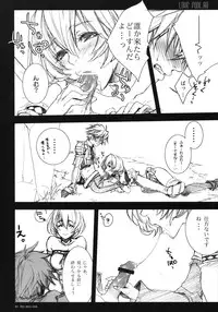 (C74) [Akai Tsubasa (Tachibana Chata)] LOVE FOOL.08 (Fantasy Earth ZERO)