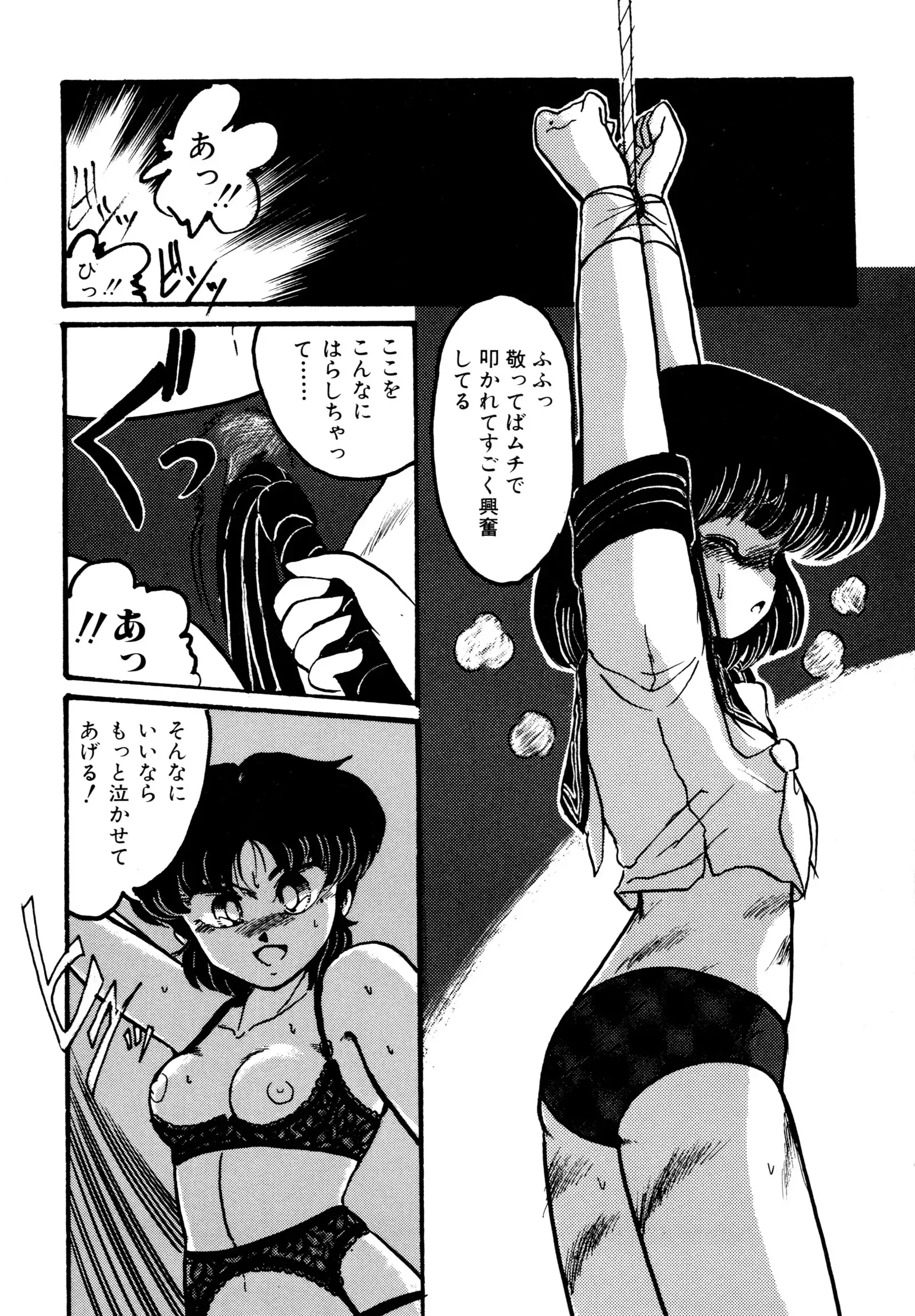 BIG・SWORDER