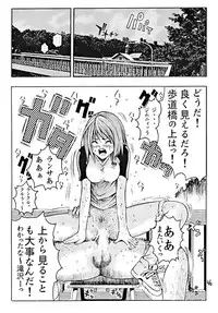 (C67) [Poo & Momodenbu (Aoi Ebina, Takebayasi Hiroki)] Devil Fish Comic De-01