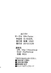 [Elfin Facies (Ouse Riruka)] Ecchi nano. (Mahou Shoujo Lyrical Nanoha) [Digital]