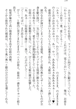 戦国犬姫！