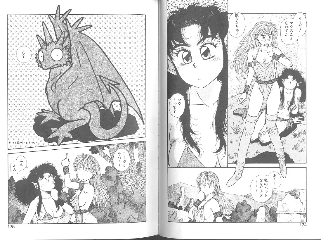 Princess Quest Saga