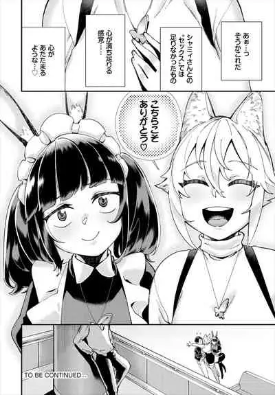 Dascomi Vol.17