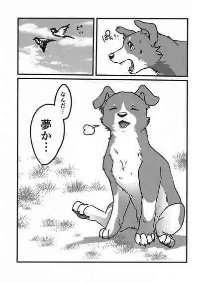 DOG.IN.CAGE The best in corn