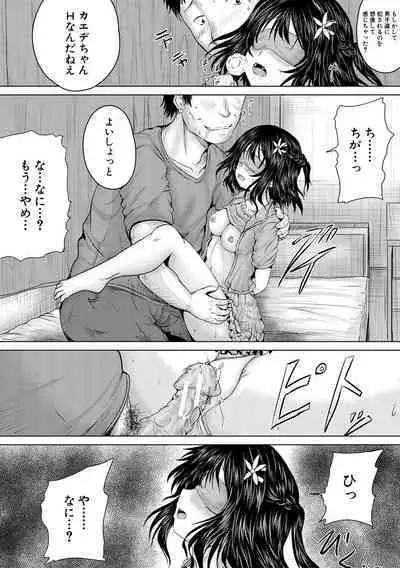 Naku Hodo Kimochi Ii Rape shite Ageru