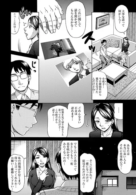 Mesuinu Catalog Choukyou Inpu