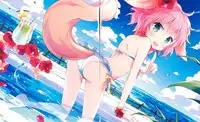 C82 CUFFS/Sphere/CUBE mini Visual Fan Book