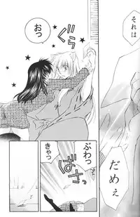 (C67) [Sakurakan (Seriou Sakura)] Lovers (InuYasha)