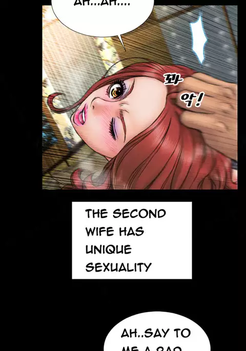My Wives Ch.1-40