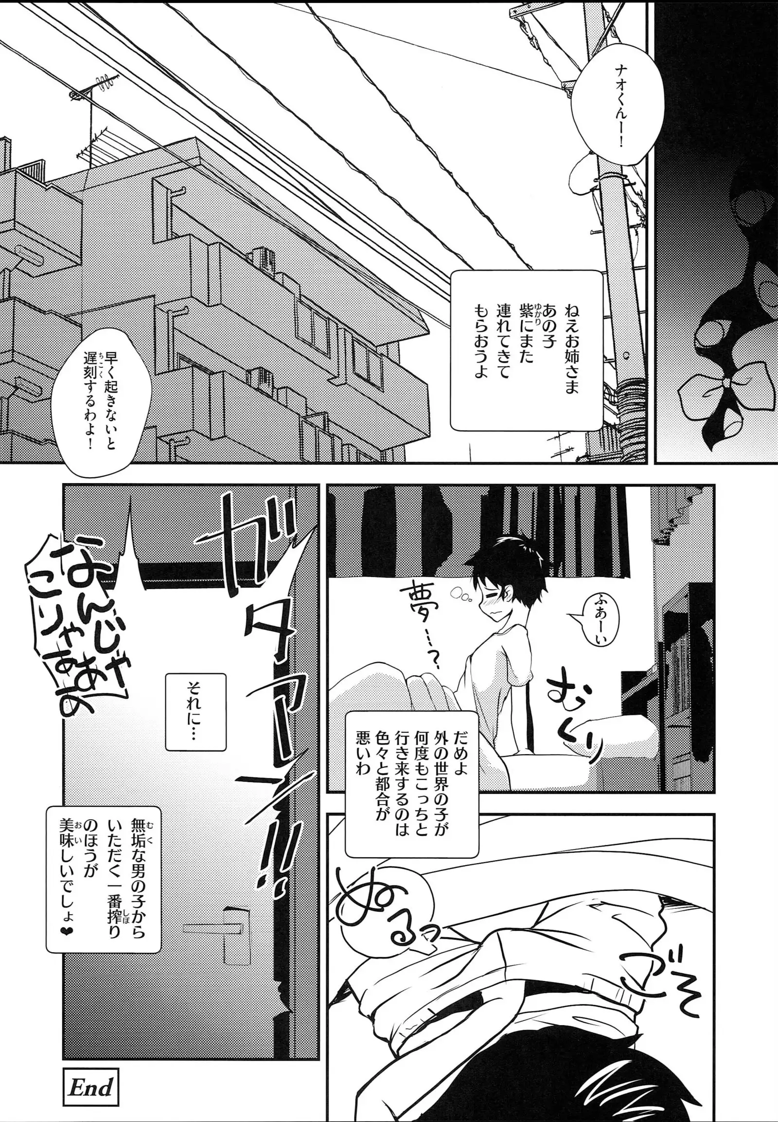 Kyuuketsuki no Sukimono wa Otokonoko no Seiekitte Hontou desu ka!?