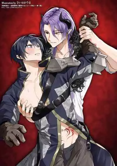 [Saiogauma] Seiken Shinin ~Inmon Choukyou de Daraku Suru Elite Kishi~ Ch. 1