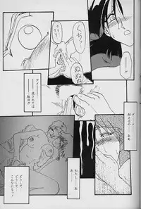 [Sanbun Kyoden] Hiiro no Koku Joukan