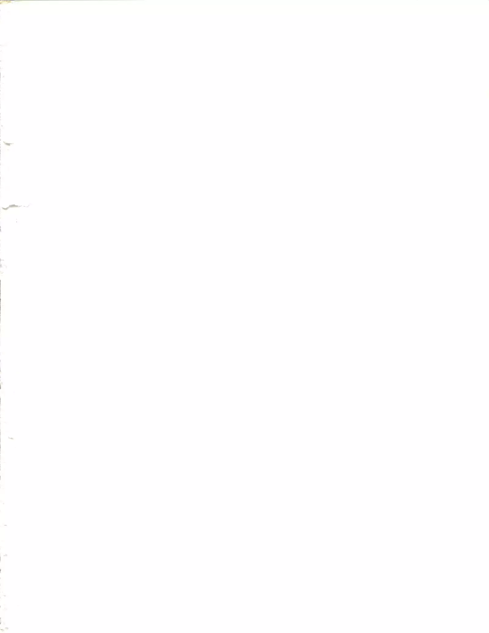 Okachimentaiko Key-gou