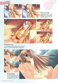 Zettai Series Visual Collection
