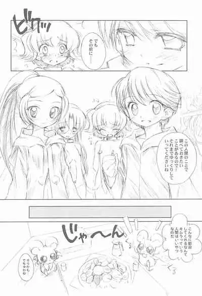 BATTLE FOR THE PLANET OF THE HAMS