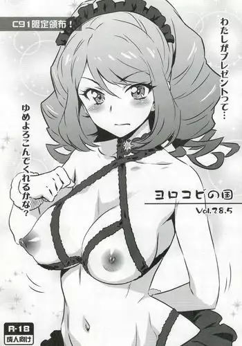 Yorokobi no Kuni vol.28.5