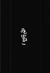 (C92) [Midorineko (Midori)] Mayoiga Schedule PM (Touhou Project)