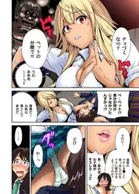 Gaticomi Vol. 52