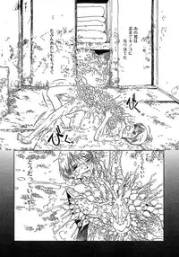 [Horihone Saizou] Niku no Ana