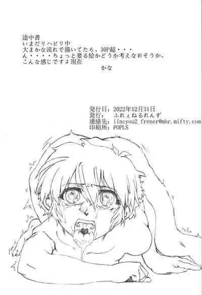 Saotome Ranma no Seitai Preview Ver2