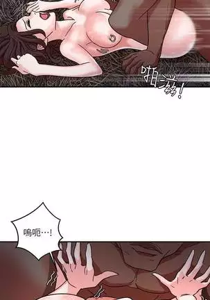 母豬養成計畫