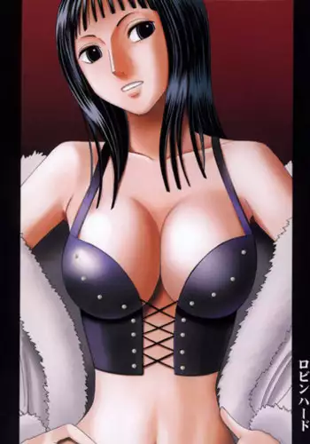 [Crimson Comics (Carmine)] Robin Hard (One Piece)