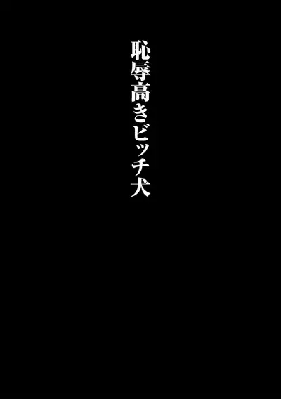 Yankee Ketsuman Ganbori Rape