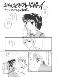 [Team Plus-Y (Various)] PLUS-Y Vol. 14 (Various)
