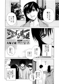 Comic Megastore-H 2006-04 Vol. 41