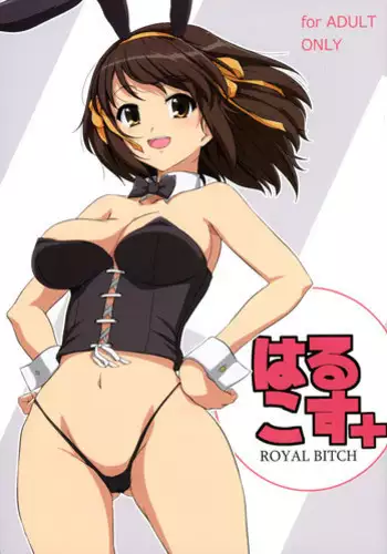 Harucos 12