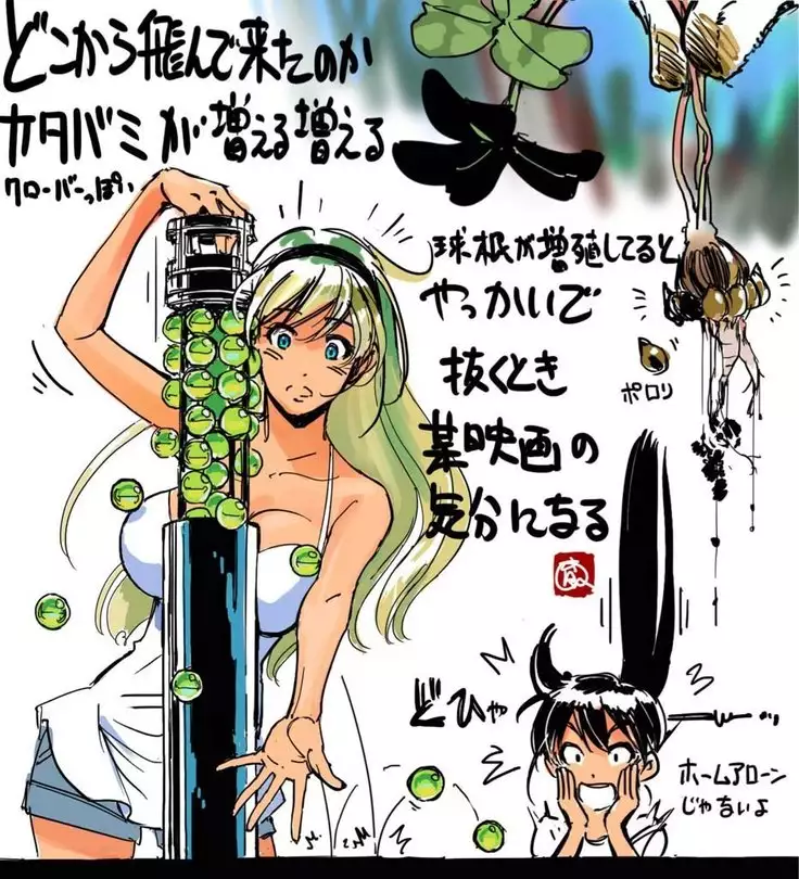 Twitter - Yamashita ikuto_170803