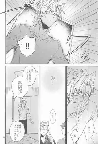 H x D COLLECTION