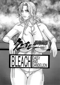 (C73) [H&K (Kotobuki Kazuki)] Shinigami Zukan Crazy (Bleach, Code Geass)