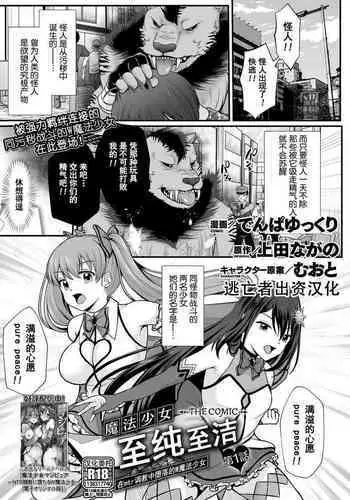 (C76) [Denpa Tai (Magical Sanoji, Hizuki Ryou)] Domination Magic (Touhou Project)