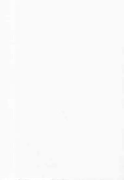 Shotagui Rumia Ketteisen