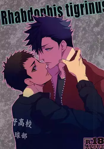 (C60) [Henreikai (Various)] Otona Anmage Natsucomi Gou (Various)
