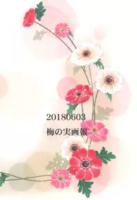 Himitsu Gokko