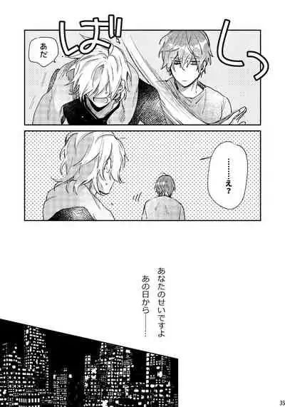 Anata no Sei desu