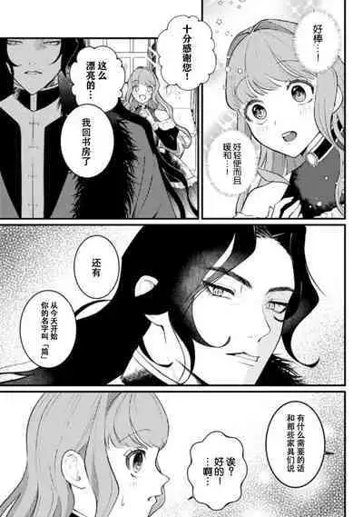 Mahoutsukai ni Miirarete | 被魔法使所魅惑 1