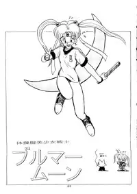 [T2 UNIT, RyuukiSya, Sakura ROC (Various)] LUNATIC ASYLUM (Sailor Moon)